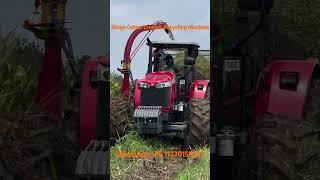 Silage Straw Cutting, Crushing & Recycling Machine - Efficient Crop Residue Management#silagemachine