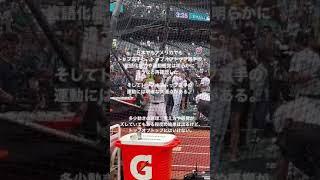 トップオブトップ