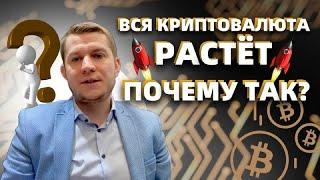 Криптовалюта: Почему все криптовалюты растут, а не только биткоин