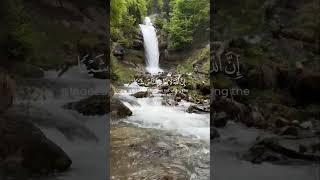 Heart melting Quran Recitation #quran