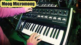 Moog Micromoog | Monophonic Analog Synthesizer