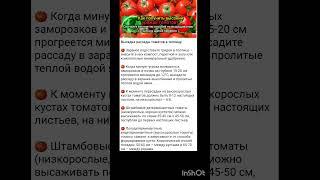 дачные советы.