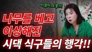 며느리를 등쳐먹은 남편과 양아치 시댁! '부천점집 용군TV 황금사'