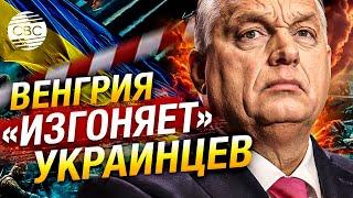 Венгрия ужесточила правила для беженцев из Украины. Без крыши могут остаться тысячи людей