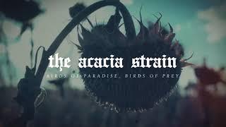 The Acacia Strain - Birds of Paradise, Birds of Prey
