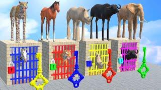 Choose the Right Key Challenge with Cow Tiger Elephant Mammoth Buffalo Gorilla Wild Animals