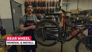 Tech Tip Tuesday - Mountain Bike Rear Wheel Removal and Installation