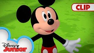 Mickey and Friends Plant Trees for Arbor Day!  | Mickey Mouse Funhouse | @disneyjunior​