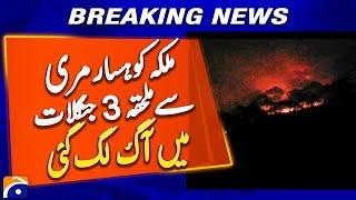 Fire Breaks out in 3 Forests Adjacent to Malka-e-kohsar Murree | Breaking News