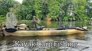 Kayak Carp Fishing for Hard Fighting River Carp