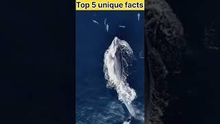 Top 5 unique facts  #amazingfacts #interestingfacts