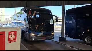 Terminal T.Tatico PRAIA GRANDE SP Movimentação de ônibus Viação Cometa #ônibus Azul 