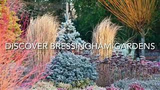 The Bressingham Gardens - Natural Heritage at its Best