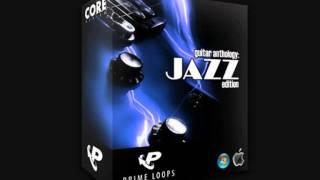 Professional Jazz Guitar Samples for Music Producers & Beat Makers!