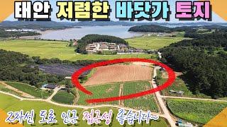 [꽃지 5102] 태안 저렴한 바닷가 토지 2차선 도로 인근 접근성 좋은 황토밭 매매 바다 약 700m 태안읍내 차량 5~6분 전원주택단지 귀농 꽃지부동산 바다토지 태안전원주택