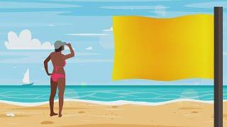 Explainer: Beach flags and what they mean