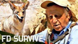 Under the Desert Sun: 6 Days Without Food or Water | Survival Stories | FD Survive