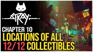 Stray All Chapter 10 Collectible Locations