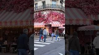 Paris , France  - Paris Walking Tour | Paris 4K| A Walk In Paris #paris #shorts