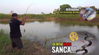 FULL STRIKE IKAN GABUS DI DANAU YANG SERING DI SETRUM || CAMPING MALAM DI HAMPIRI ULAR SANCA