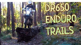 Suzuki DR650 slays Technical Enduro Trails