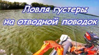 ЛОВЛЯ МИРНОЙ РЫБЫ НА ОТВОДНОЙ ПОВОДОК/РЫБАЛКА НА СПИННИНГ/ЧАПАЕВСКИЕ ЛУГА САМАРСКОЙ ОБЛ/ГУСТЕРА/ЛЕТО