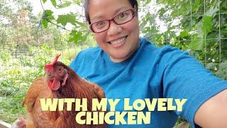 WITH MY LOVELY CHICKEN  