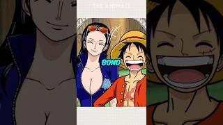 Luffy and Robin Relationship | Onepiece
