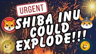  URGENT!  Shiba Inu Coin Price Prediction! SHIB To Make Millionaires 2025! #Shibainu #shib