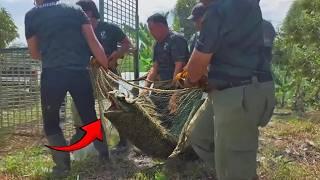 Strange Creatures That Were Caught on Camera & Shocked Everyone!