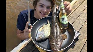 Monster Flathead & Bream - Catch n Cook!