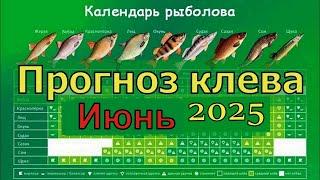 Календарь рыбака на Июнь 2025  Прогноз клева рыбы на Июнь Лунный календарь клева рыбы июнь 2025