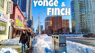 Walking in Yonge & Finch | Toronto | Canada