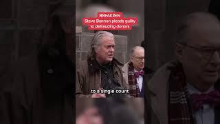 Steve Bannon pleads guilty to defrauding donors
