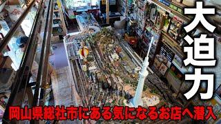 岡山県総社市にあるこの辺では結構珍しいお店！見て楽しむ！そして自家製の焼きカレーを堪能！