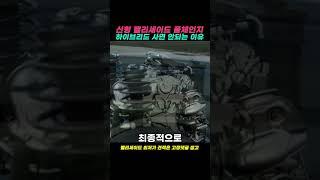 신형 팰리세이드 풀체인지 하이브리드 사면 안되는 이유