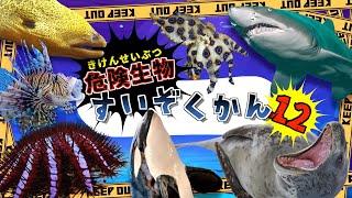 【海の危険生物】水族館へ行こう！12 【子供向け 海のいきものアニメ】海にいる危険な生き物が11種類登場するよ 子供が喜ぶ動く海の生き物図鑑【海の生き物の知育動画】サメ シャチ