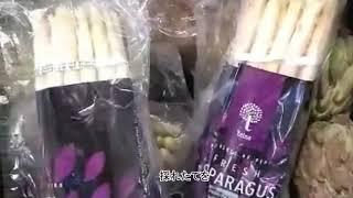 White asparagus ホワイトアスパラガス