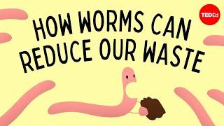 Vermicomposting: How worms can reduce our waste - Matthew Ross