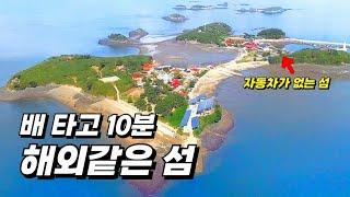 10분 만에 도착하는 외국보다 좋은 무공해 청정섬 | 화교출신 40년 전통의 중국집