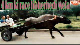 Jhota race || Libbherhedi || manglour Mela || full video , सुपर रेस ||raju bhai winner