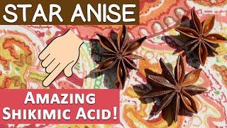 Star Anise Uses and Info List, Source of Shikimic Acid?
