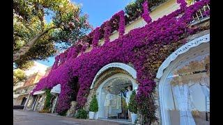 Tutti pazzi per la bougainvillae di Capri