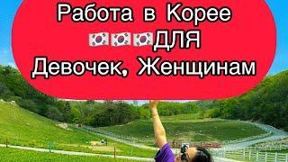 Кореяда ҚЫЗДАРҒА арналған ЖҰМЫС! УБОРКА! ОТЕЛЬ!