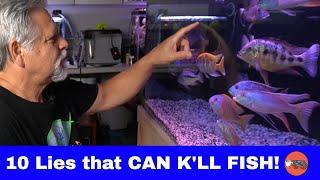 DON'T BELIEVE These *FISH KEEPING MYTHS!*