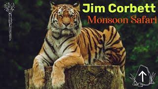 Jim Corbett Monsoon Safari | Risks and Money Refund Policy if Tiger Safari gets cancelled