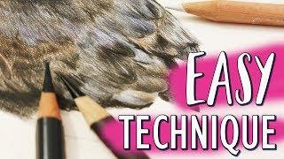 EASY WAY TO DRAW FEATHERS | Coloured Pencil Tutorial