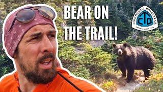 Hiker comes face to face with a Grizzly Bear! (CDT Day 138)