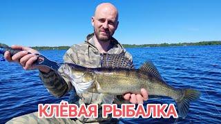 Щуки, судак на воблеры\\ Клёвая рыбалка!!!