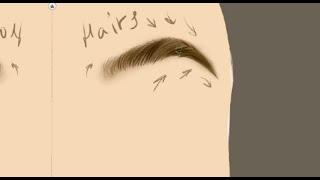 digital art draw bushy eyebrows krita tutorial